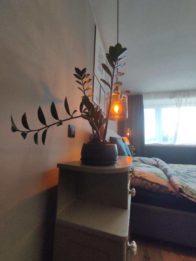 Dian Feelhome Banska Bela Extérieur photo