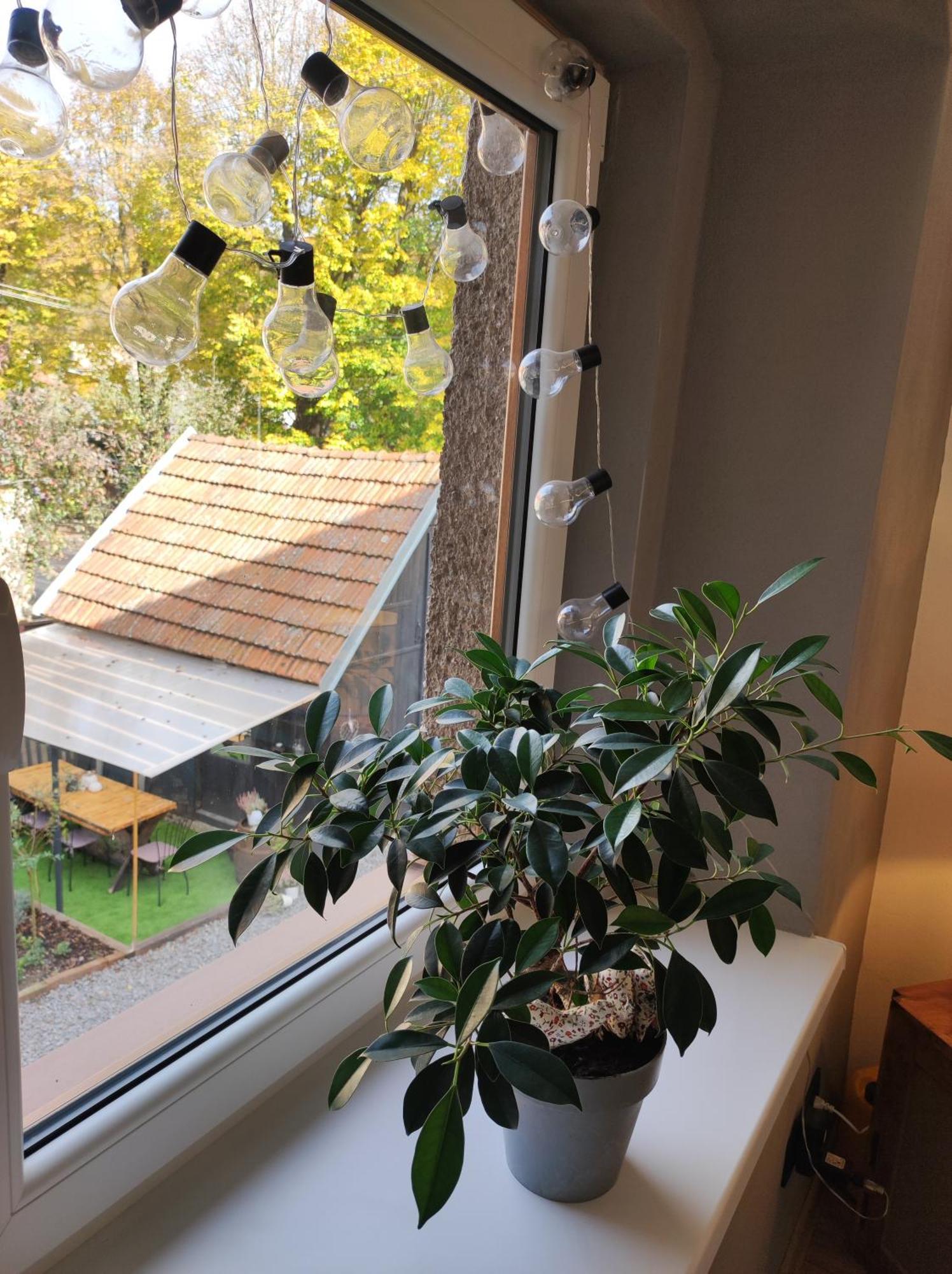 Dian Feelhome Banska Bela Extérieur photo